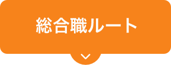 総合職ルート