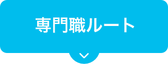 専門職ルート